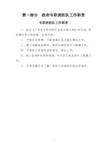 专职消防队正规化建设汇编