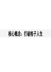 2011凡客格子衬衫品牌传播框架826