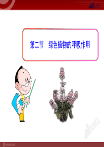 新初中生物PPT课件：第3单元第5章 第2节 绿色植物的呼吸作用(七年级上)