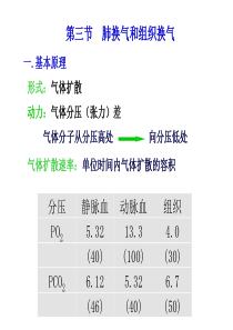 呼吸 第三节第四节第五节