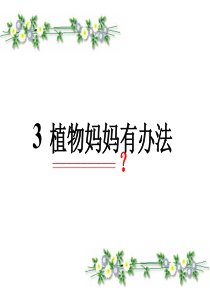 3.植物妈妈有办法优秀课件