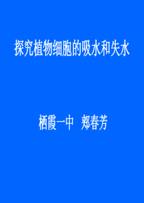 观察质壁分离和复原实验课件