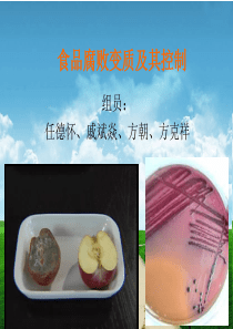 _食品腐败变质及其控制