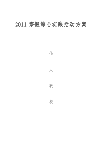 2011寒假综合实践活动方案