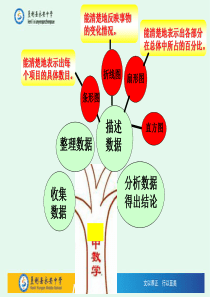 10.2直方图公开课课件PPT