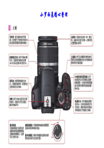 单反入门教程,这100张看完,你就入门了