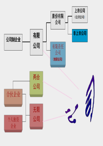 【企业制度】5公司百00-5