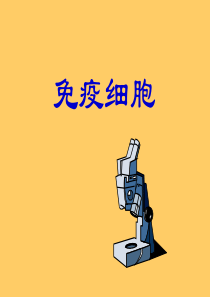 T细胞