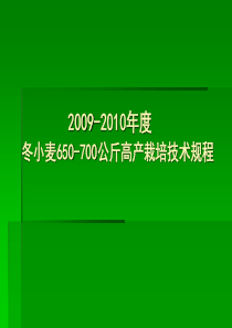 2009-2010年度冬小麦600-650公2