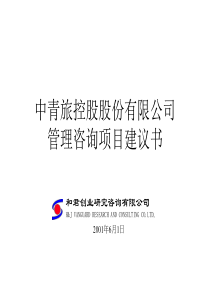 XX股份有限公司管理咨询项目建议书