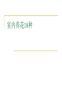 38室内养花18种 绿色植物 盆花 常见室内植物