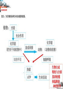 能量之源―光与光合作用