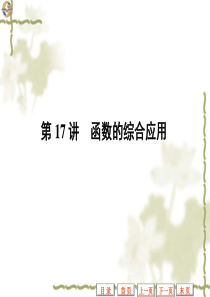 2011中考数学复习课件：第17讲_函数的综合应用