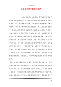 大学生中学支教实习总结