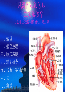 已阅风湿性心瓣膜病000