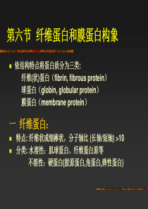 3蛋白质结构-2