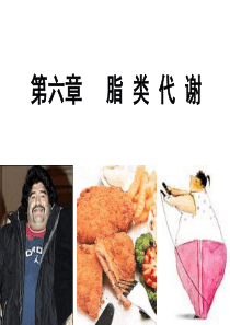 甘油三酯的代谢