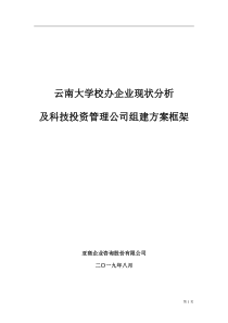 【企业管理】科技投资管理公司组建方案框架