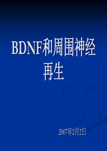 BDNF和周围神经再生