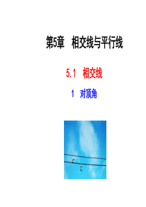 【华师大版】七年级数学上册：5.1.1《对顶角》ppt课件