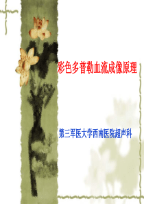 彩色多普勒血流成像原理