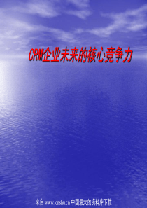 CRM企业未来的核心竞争力(ppt 22)