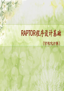 raptor软件使用