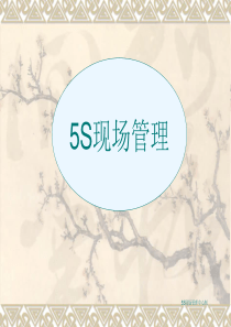 5S管理内部培训资料