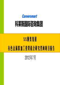 科莱斯国际咨询集团-XX钢铁集团投资咨询项目建议书