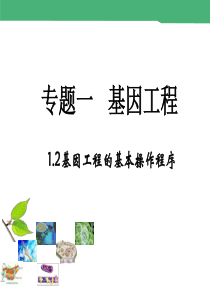 2015-2016学年 1.2《基因工程的基本操作程序》课件