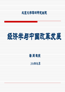 北京大学深圳研究生院经济学及中国改革发展海闻教授2006