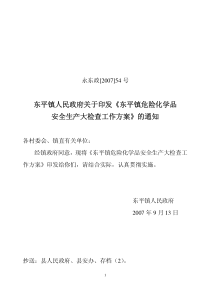 东平镇人民政府关于印发《东平镇危险化学品安全生产大检查工作方案》的通知