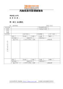 风险投资尽职调查报告(DOC 22页)