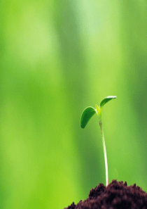 分数混合运算(一)》