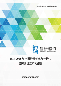 2019-2025年中国桥梁管理与养护市场深度调查研究报告