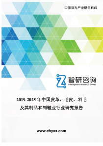 2019-2025年中国皮革、毛皮、羽毛及其制品和制鞋业报告