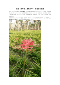 校园常见植物图鉴(三)