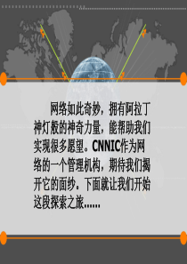 中国互联网网络信息中心研究