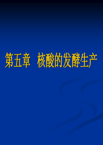 2010-2011学期核酸发酵课件