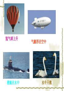 小学五年级科学《浮力》课件