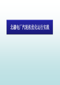 北疆电厂汽轮机优化运行实践