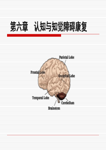 第六章 认知知觉障碍的康复评价与训练