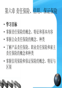 第六章 责任保险、信用、保证保险