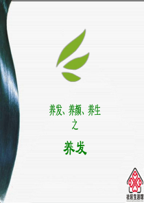 头发及头皮知识