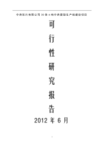 中药饮片有限公司30条6吨中药提取生产线建设可行性研究