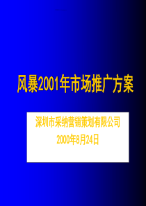 风暴市场推广方案.ppt