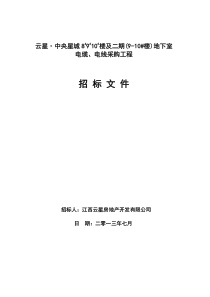 电缆、电线招标文件