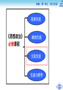 高中政治文化生活第一框体味文化