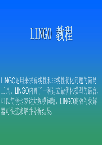 lingo教程(精)