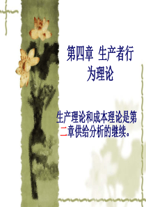 经济学原理 第4章+生产者行为理论